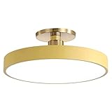 Deckenleuchte Wohnzimmerlampen Runde Unterputz-Deckenleuchte Moderne Einfachheit LED-Deckenleuchte in der Nähe der Decke Beleuchtungskörper for Wohnzimmer, Restaurant, Schlafzimmer, Küche, Wohnzimmer,