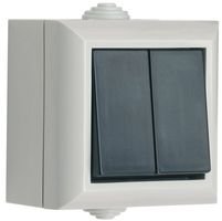 2 Gang 1 Way Outdoor / External Switch, Ideal for Mowing the Lawn, Christmas Lights, etc, EP2G1B