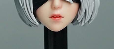 Amazon | [TOYBARJAPAN] 1/6スケール アクションフィギュア用