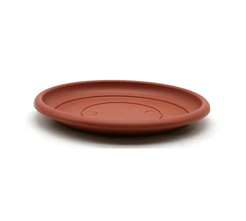 DOJA Barcelona | Plato Maceta 300 mm | Pack 10 | Plato Tiesto Macetero Plantas Redondas | Plato Maceta de Drenaje | Plato Planta Maceteros Jardinera Balcon Tiestos para Plantas Interior