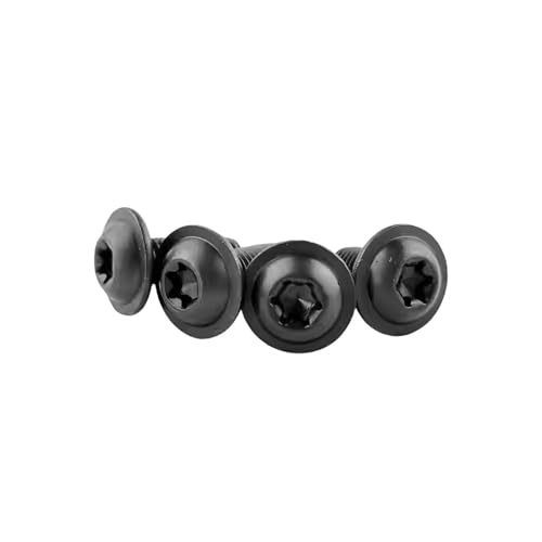 2`10 304 lW M4 M5 M6 M8 XeXX`[ F bV[wbhlW(M5-10pcs,X 16mm)