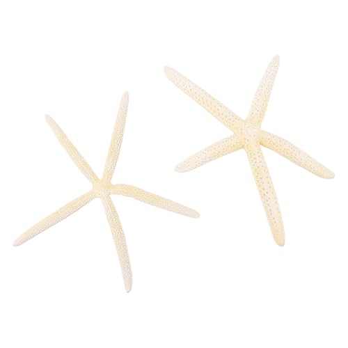 CIMAXIC Adorno Artesanal de Estrella de Mar Natural, Material Compuesto, Pack de 2 Piezas para Decoración de Salón y Dormitorio Estilo Mediterráneo