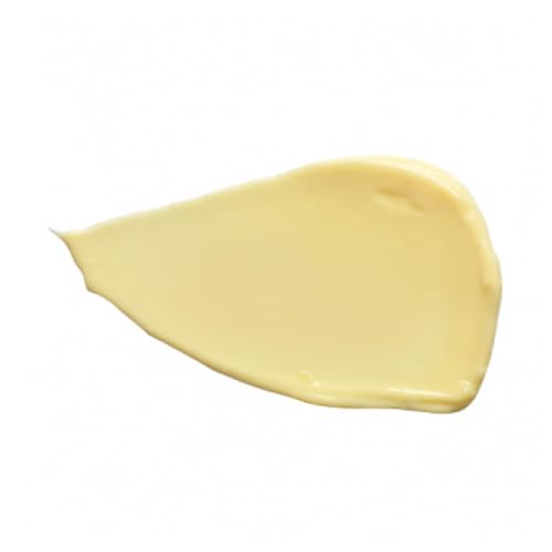 DHC Q10 Cream [Beauty]