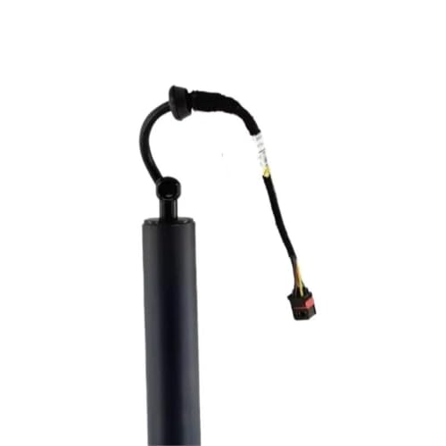 Support levage hayon électrique amorti et fluide pour Palisade - 5