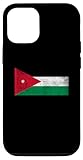 Jordan Flag Graphic Store