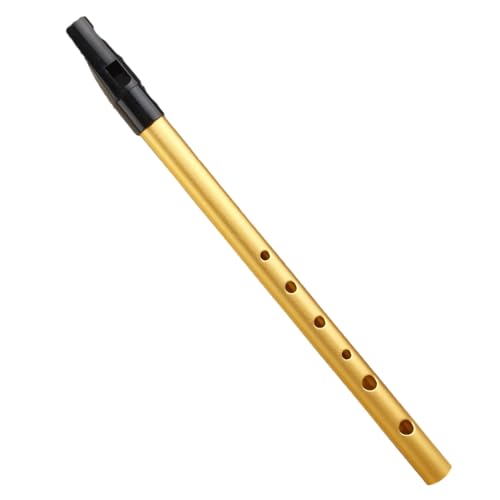 REDYY Irish Flute 6 Hole Flute C/D Key Irish Tin Penny Flute Instrument Woodwind For Beginners