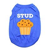 Baxter Boo Stud Muffin Dog Shirt - Blue (X-Small)