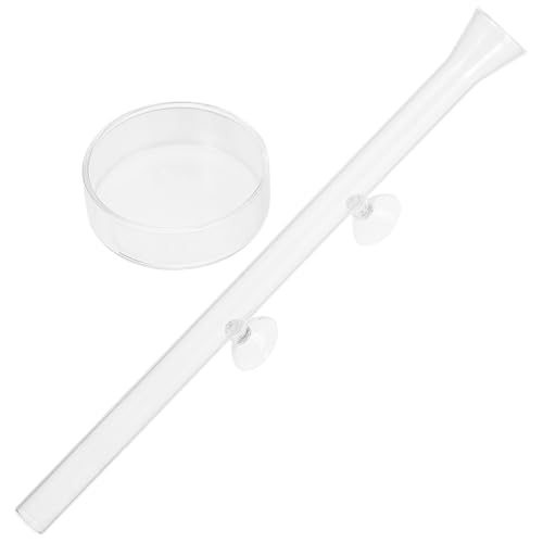 Contenedor de alimentación resistente de cristal transparente y elegante de 35 cm 2