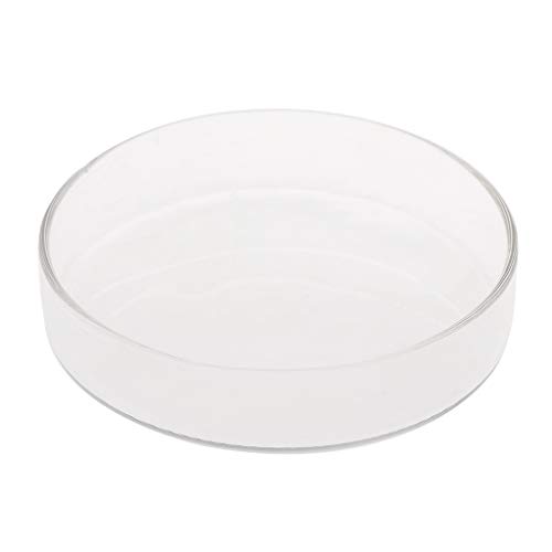 Shrimp Feeder Dish Glass Feeding Tray Aquarium Fish for Reptiles Round Food Bowl 3.9in 3.5in 3.2in 3.0in 2.6in 2.4i