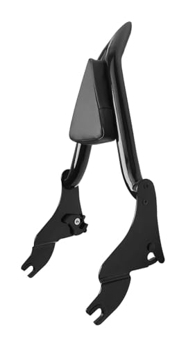 Sissy bar amovible avec dossier confort et porte-bagages moto pour Road King et Electra