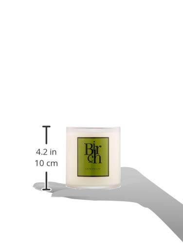 Archipelago Botanicals Birch Boxed Candle. Awakening Scent of White Birch, Balsam Sap and Evergreen Needles. Clean Soy Wax Blend Burns 90 Hours (14oz) - Thumbnail 6