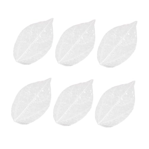 6pcs hojas secas naturales blancas para manualidades miniatura 1