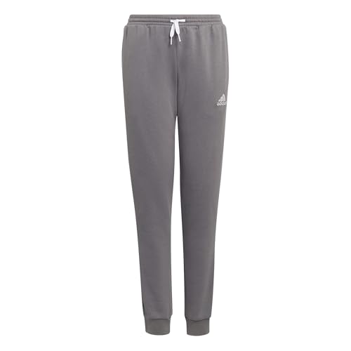adidas Unisex Kinder Entrada 22 Sweat Pants, Team Grey Four, 11-12 Years