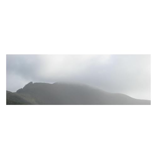 Image of aloof 20241127