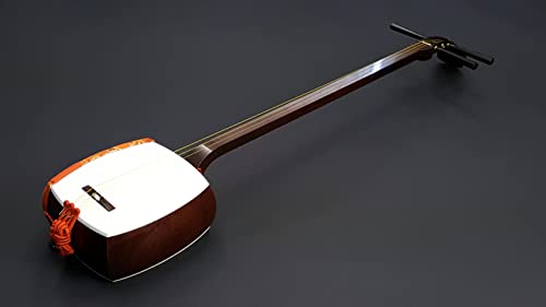 21hxL9D7isL.jpg
