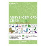 CAE analysis of large department --ANSYS ICEM CFD Engineering example explanation 7115350671 Book Cover