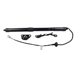 AP01 Right Electric Tailgate Gas Strut Compatible For Toyota Compatible For RAV4 DOHC Limited XLE