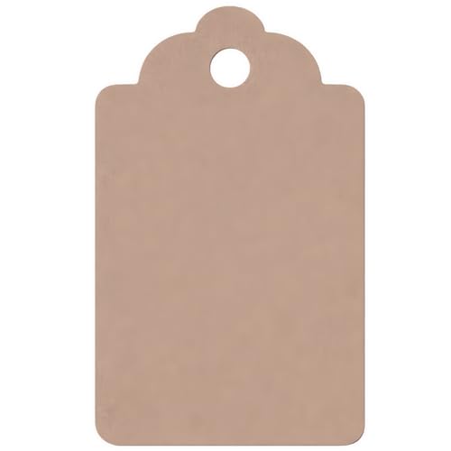 Image of CVANU 150pcs Premium Color Tag Blank Hanging with Pre-Punched Hole Tags for DIY Crafts, Gift Wrapping, Labelling & Writable Decorative Tags for All Occasions (2.85in X 1.7in) Light Brown1