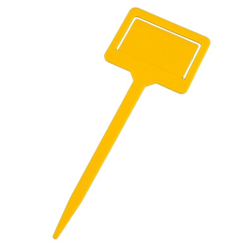 Albapilix CG[ 100  vX`bN K[fjO x A x A A x