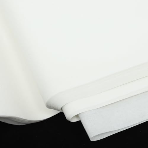 Papel Xuan para práctica de caligrafía que evita manchas de tinta 5