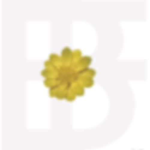 Album photo BF BOYFRIEND BlosSomme of Snow, édition prestige reliée