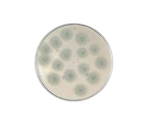 sunさま　専用ページ Sさん専用 Sさま 専用 ズーム直流電源 ZX-Sシリーズ | 高砂製作所