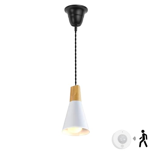 Kiven ^ lZT[ ZT[XCb` |V[OCg Jo[t Hsv L gC QΉ ݂艺Ɩ   VvfUC E26Ή dʔ a14cmVF[h zCg