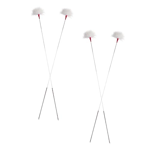 PACKOVE Ear Cleaning Sticks Pcs Set Ear Wick Wax Picker Scraping Tool Made of Metal Goose Random