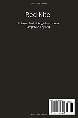 Notebook: Red Kite Journal - Image 2