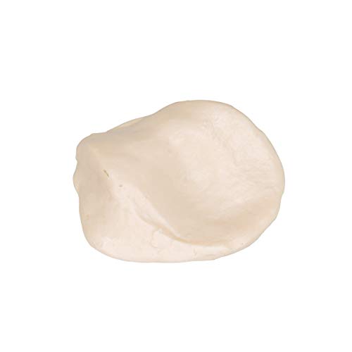 Image of 3B Scientific A35 /2 Patella - 3B Smart Anatomy