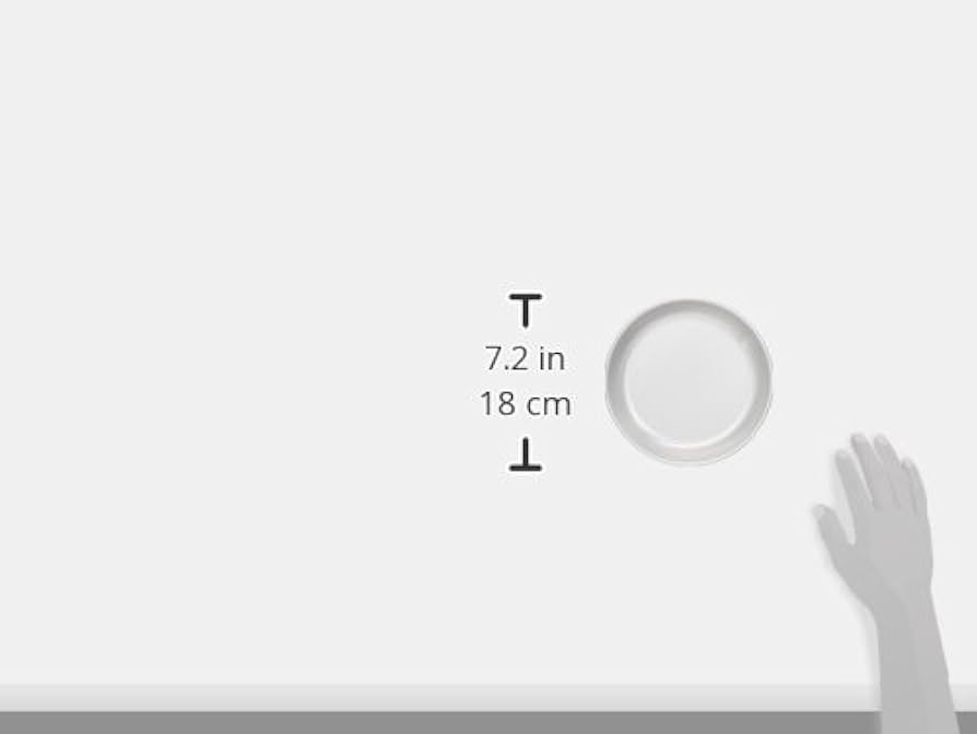 12枚　アカオアルミ アルミ アルマイト 給食用皿 17cm Amazon｜アカオアルミ 給食用皿 17cm アルミニウム(アルマイト