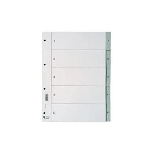 Rexel Zahlenregister für A4 mit Deckblatt, 226 x 297 mm, 1 Stück, grau