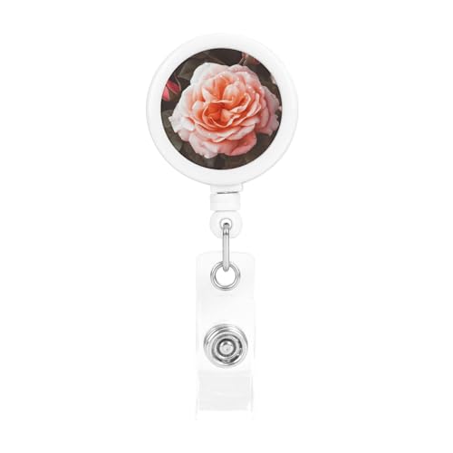 obW[ i[ NbvƃL[z_[t ʔĂ킢obWNbv [Yt[ IDJ[h obWz_[ ItBX[J[ t Ōtp