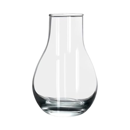 Image of AYUTAS Glass Flower Vase, Vessel, Money Plant Pot, Glass Bottle for Milk, Coffee, Tea | Restaurants, Kitchen, Office, Table & Home Decoration (Surahi Shape Pot) - Pack of 1 Piece, Size:- 5.5 Inch