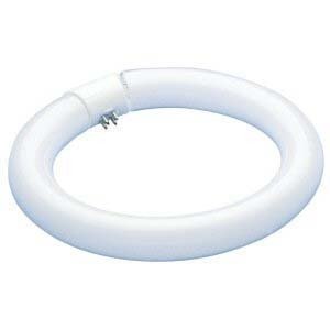 EikoFC8T9/CW Cool White Circline Halogen Bulb (12-Pack), 22 Watts, G10q Base, T-9 Bulb, 8.25"/215mm MOL, 1100 Approx Initial Lumens, 825 Approx Mean Lumens