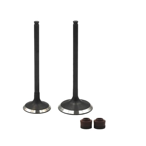 Kit joints étanchéité tige moteur RMZ250 anti-fuite huile 12005-0002