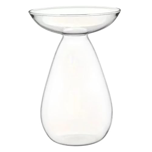 Macetero para plantas hidropónicas en vidrio soplado transparente de alta resistencia 6