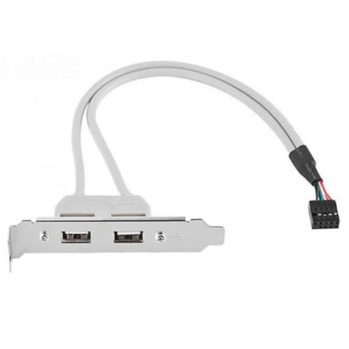 chenyang CY Câble 9 broches du panneau arrière femelle USB 2.0 vers la carte mère avec support PCI 30 cm