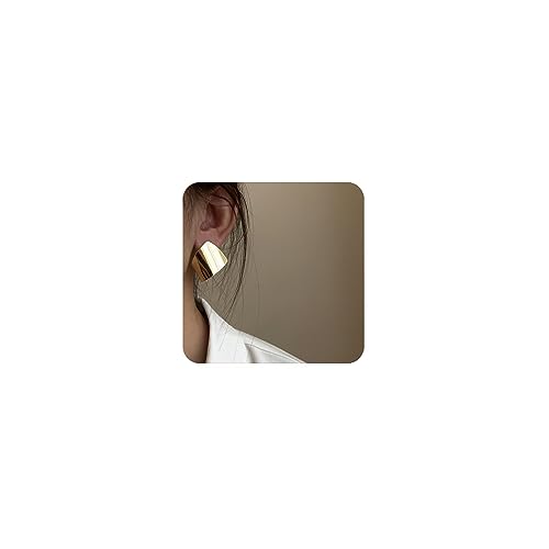 Unique Abstract Earrings For Women,Geometric Statement Stud Earring Large Hypoallergenic Earring for Gift