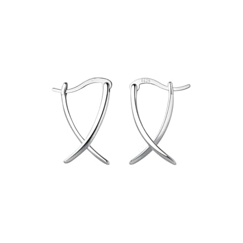 SLUYNZ 925 Sterling Silver Hoop Earrings Cover