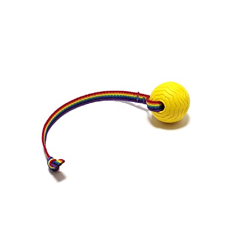 UEubNuJpj[ f{[/STCY i^j vŌyĐɕ \[v{[