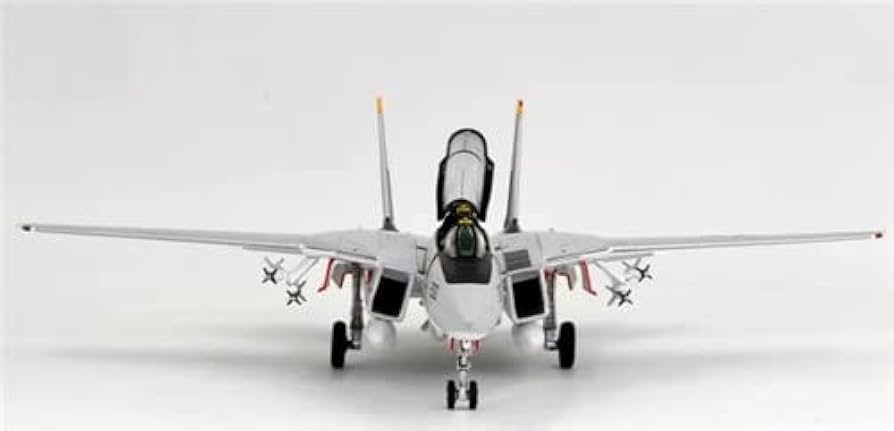 Amazon.com: Calibre Wings F-14A VF-84 Jolly Rogers BuNo 160393
