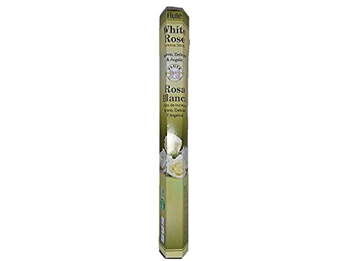 Fluteit[gj FzCg[Y XeBbN/CZX/1