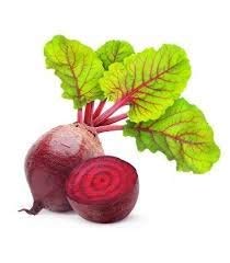 Golden Hills Farm BEAT ROOT ORGANIC F1 HYBRID SEEDS 100 seeds (B07PHMTC3R) Amazon Price History, Amazon Price Tracker