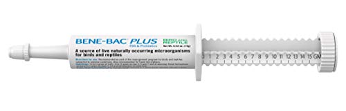 PetAg Bene-Bac Plus Bird & Reptile Gel with Probiotics - Contains Seven Microorganisms - 15 g Syringe