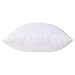 Acanva Decorative Square Throw Pillow Inserts Hypoallergenic Euro Form Stuffer Cushion Sham Filler, 1 Count (Pack of 1), White
