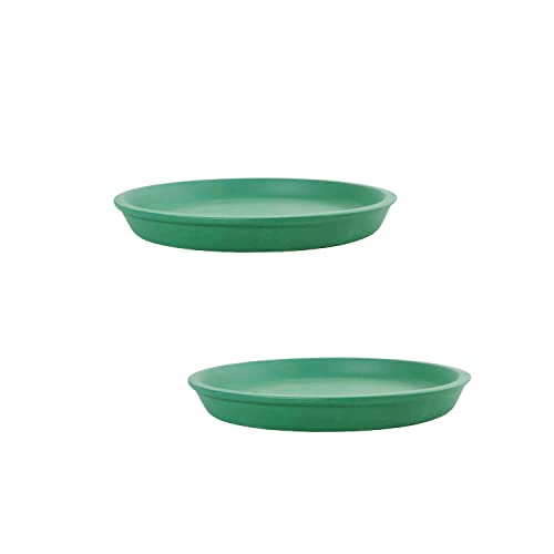 Image of Lasaki Round Ceramic Trays (Plates Saucers) for Pots, planters, Flower, Succulent(Set of 2,deep Jungle,4 inch) R4(Plants not Included)