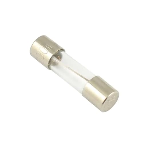Fusible de vidrio 5x20 de fusion lenta 250V que evita cortes por picos de tension