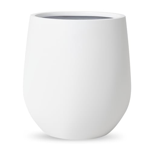 KUTE NEST Corso Medium