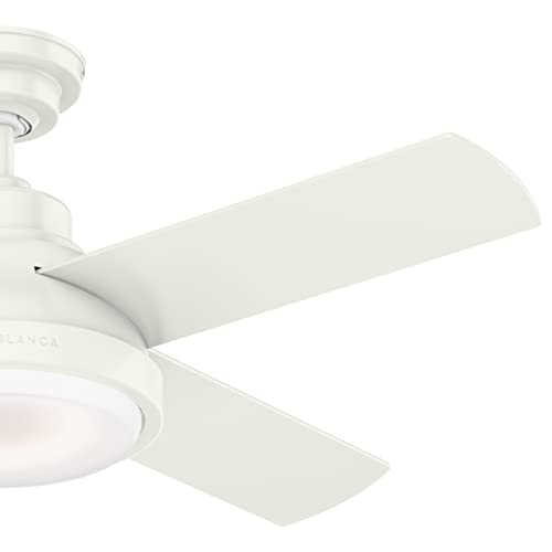 Casablanca Levitt Indoor Ceiling Fan With Led Light And Wall Control #TOP4